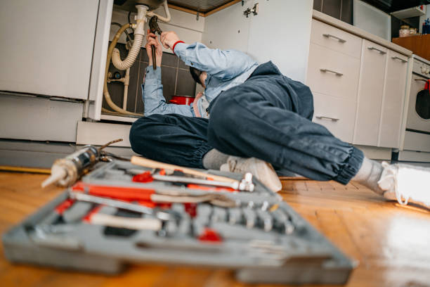 Best Local Plumber Services  in Walkerton, IN