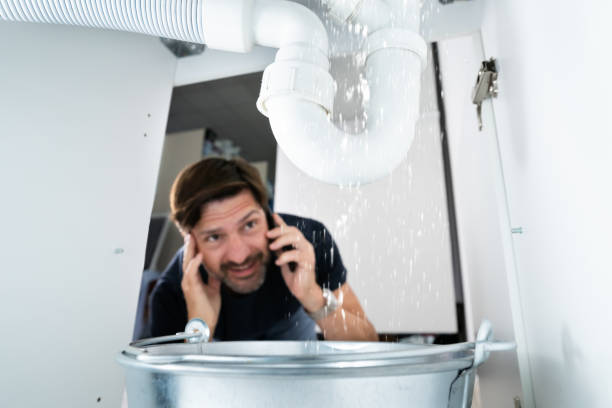 Best Emergency Plumber  in Walkerton, IN