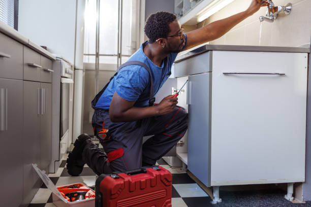 Best Clogged Drain Plumber  in Walkerton, IN